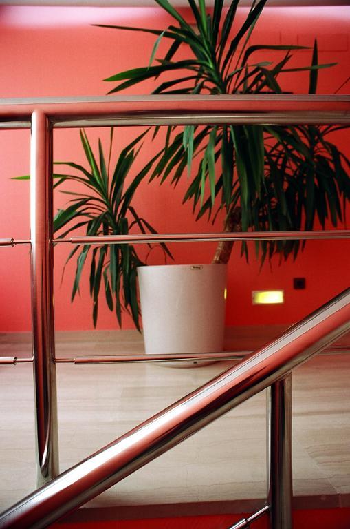 Sercotel San Jose Albacete Interior foto